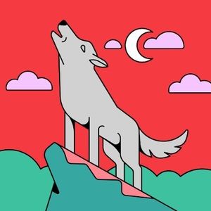 Meet your Posher, Sukru